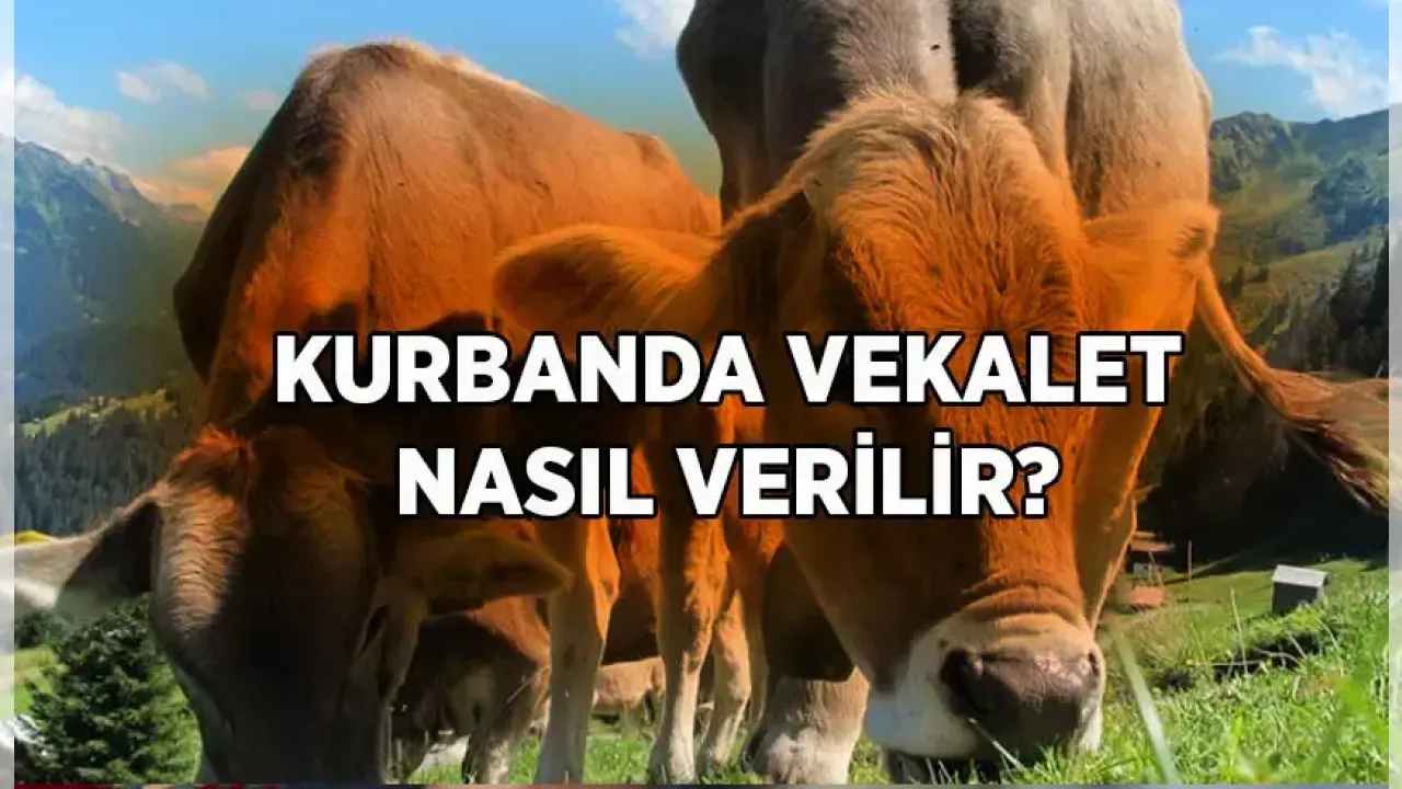 Kurban Vekaleti Nasıl Verilir? Kurban İbadetinde Vekalet Alma ve Verme Rehberi