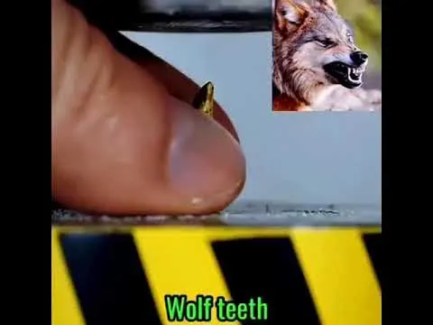 1000038301