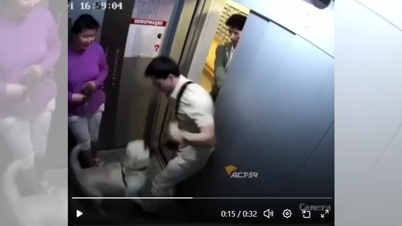 Sanırım köpeğinizin insanlara saldırmasından zevk alıyorsunuzdur VİDEO
