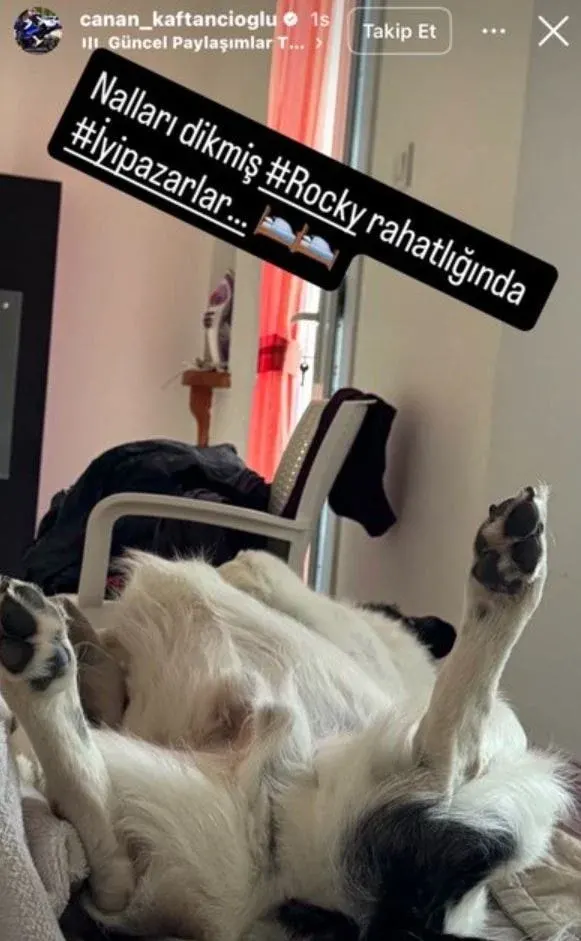 Görsel