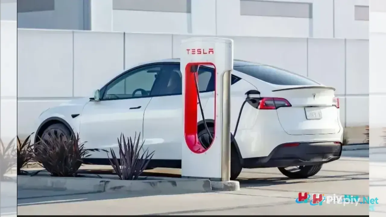 Togg Tesla Elektrikli Araç Karşılaştırması Ayrıntılı