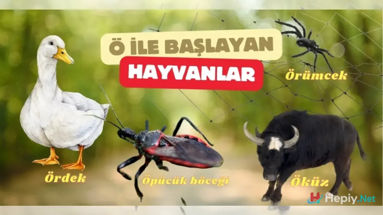 Ö Harfi İle Başlayan Hayvan İsimleri, Ö İle Başlayan Hayvan Türleri, Küresel Biyolojik Çeşitlilik ve Zooloji