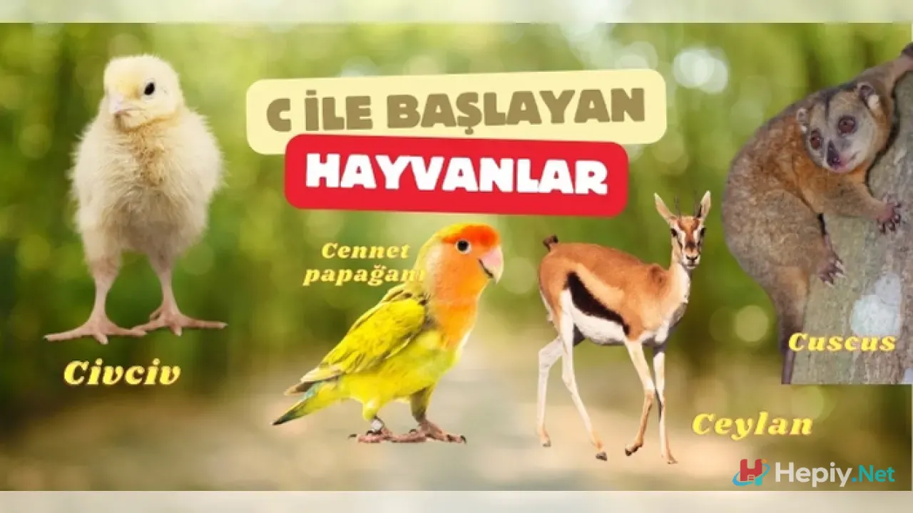 C Harfi İle Başlayan Hayvan İsimleri, Biyolojik Çeşitlilik ve C İle Başlayan Hayvan Türleri
