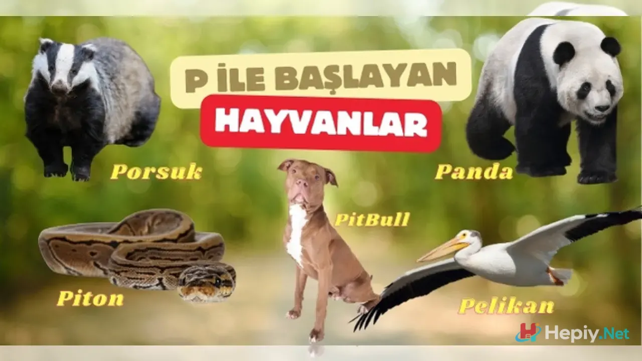 P Harfi İle Başlayan Hayvan İsimleri, P İle Başlayan Hayvan Türleri, Küresel Biyolojik Çeşitlilik ve Ekolojik Analiz