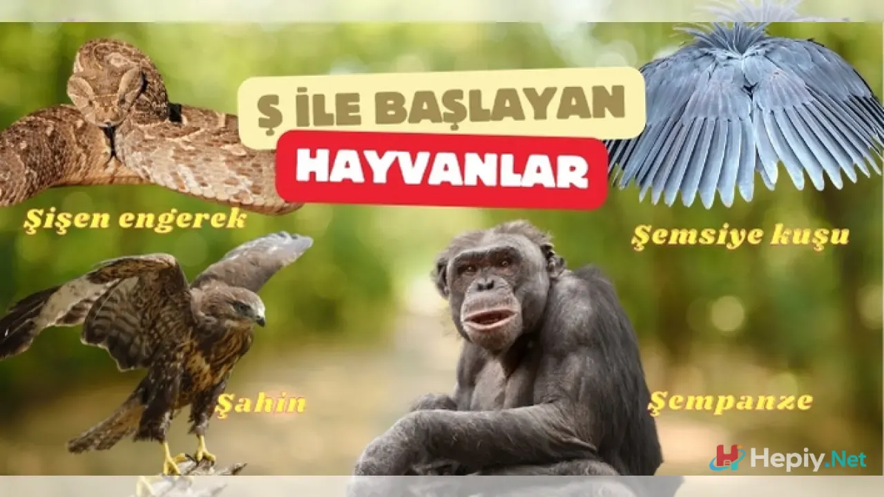 Ş Harfi İle Başlayan Hayvan İsimleri, Ş İle Başlayan Hayvan Türleri, Küresel Biyolojik Çeşitlilik ve Ekolojik Analiz