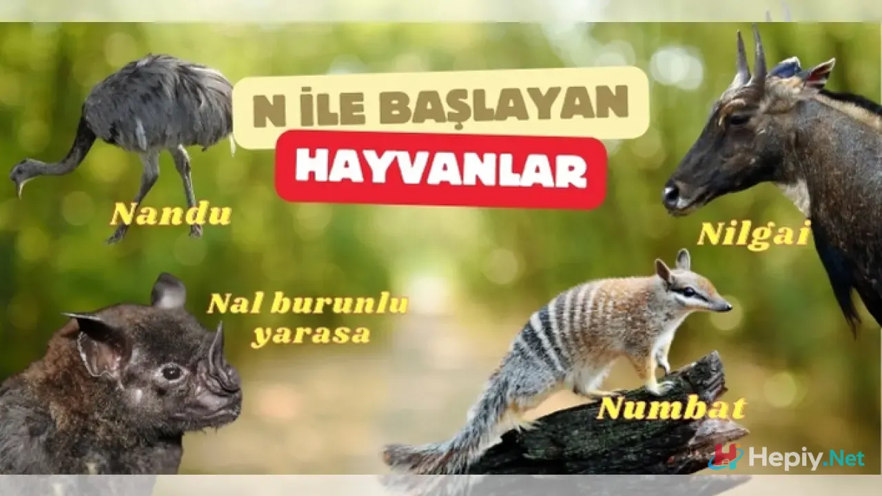 N Harfi İle Başlayan Hayvan İsimleri, N İle Başlayan Hayvan Türleri, Küresel Biyolojik Çeşitlilik ve Zoolojik Taksonomi