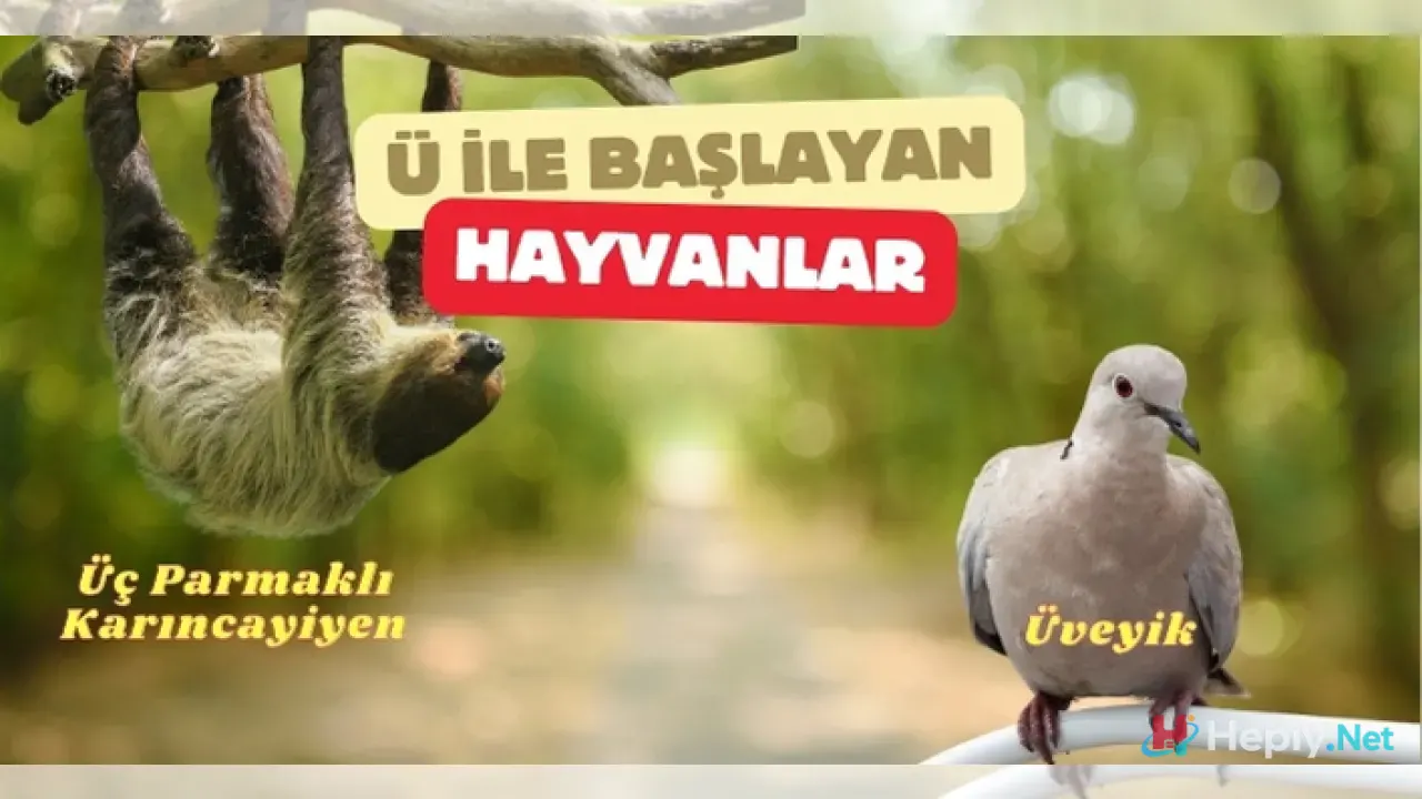 Ü Harfi İle Başlayan Hayvan İsimleri, Ü İle Başlayan Hayvan Türleri, Küresel Biyolojik Çeşitlilik ve Zoolojik Taksonomi