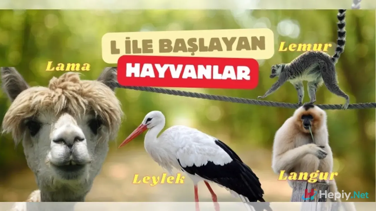 L Harfi İle Başlayan Hayvan İsimleri, L İle Başlayan Hayvan Türleri, Küresel Biyolojik Çeşitlilik ve Ekolojik Sistem