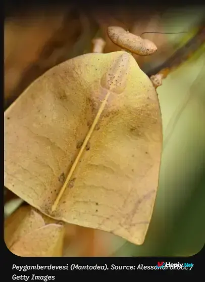 Screenshot 526