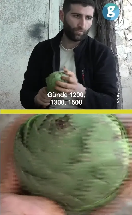 Screenshot 661