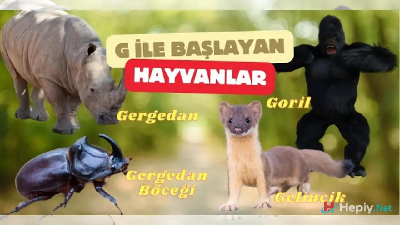 G Harfi İle Başlayan Hayvan İsimleri, G İle Başlayan Hayvan Türleri, Küresel Biyolojik Çeşitlilik ve Zoolojik Analiz