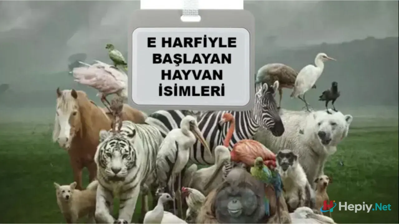 E Harfi İle Başlayan Hayvan İsimleri, Biyolojik Çeşitlilik ve E İle Başlayan Hayvan Türleri Evrimsel Analizi