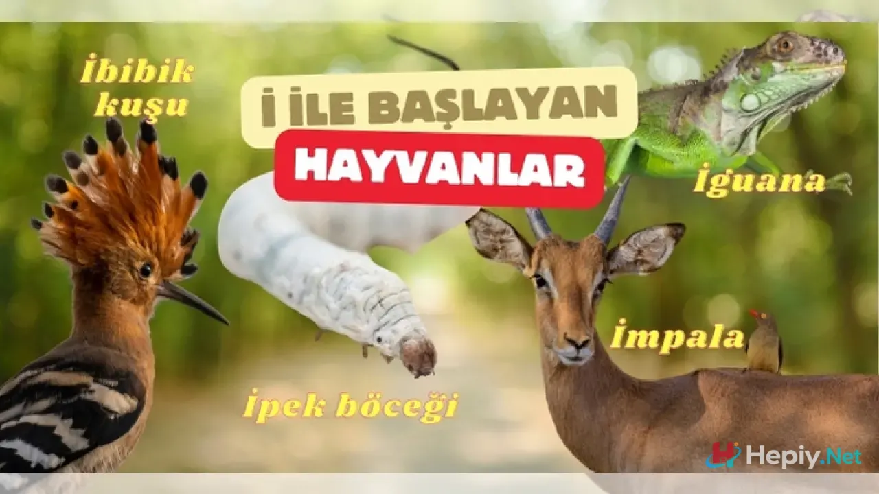 İ Harfi İle Başlayan Hayvan İsimleri, İ İle Başlayan Hayvan Türleri, Küresel Biyolojik Çeşitlilik ve Taksonomi