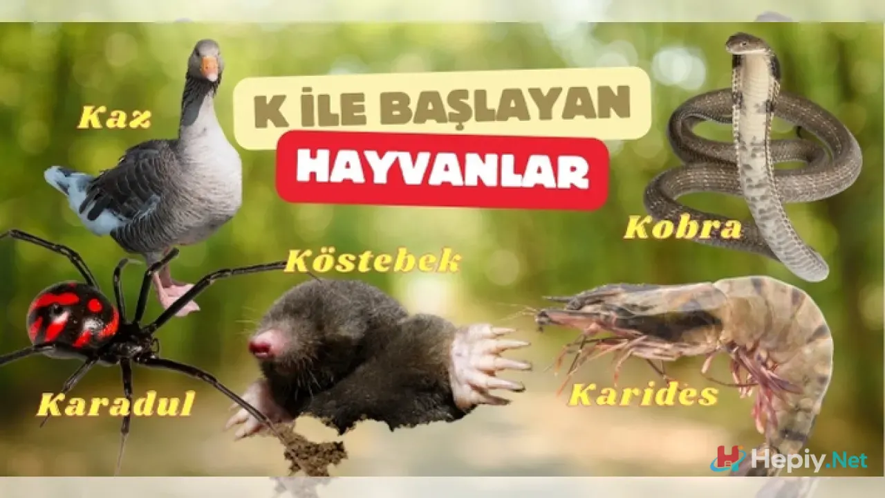 K Harfi İle Başlayan Hayvan İsimleri, K İle Başlayan Hayvan Türleri, Küresel Biyolojik Çeşitlilik ve Ekolojik Sistem