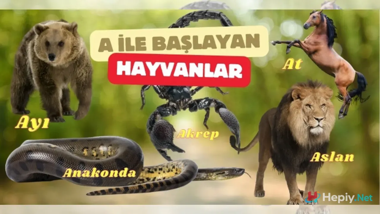 A Harfi ile Başlayan Hayvan İsimleri, Biyolojik Çeşitlilik ve A ile Başlayan Hayvan Türleri