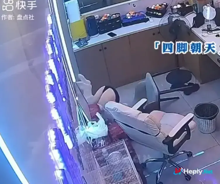 Screenshot 231
