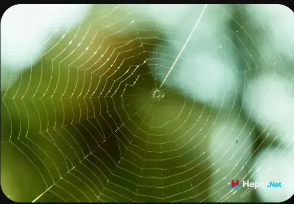 Screenshot 521