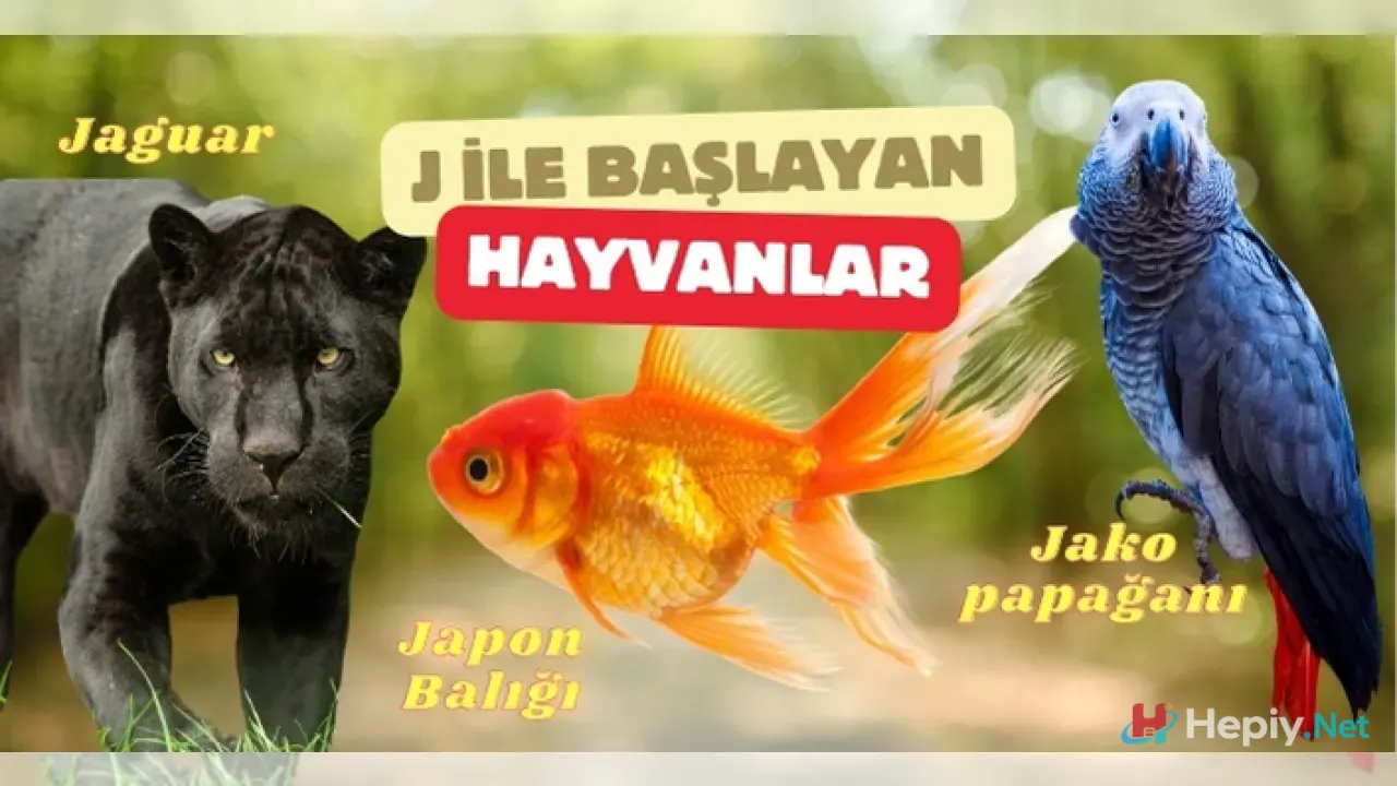 J Harfi İle Başlayan Hayvan İsimleri, J İle Başlayan Hayvan Türleri, Küresel Biyolojik Çeşitlilik ve Ekolojik Analiz