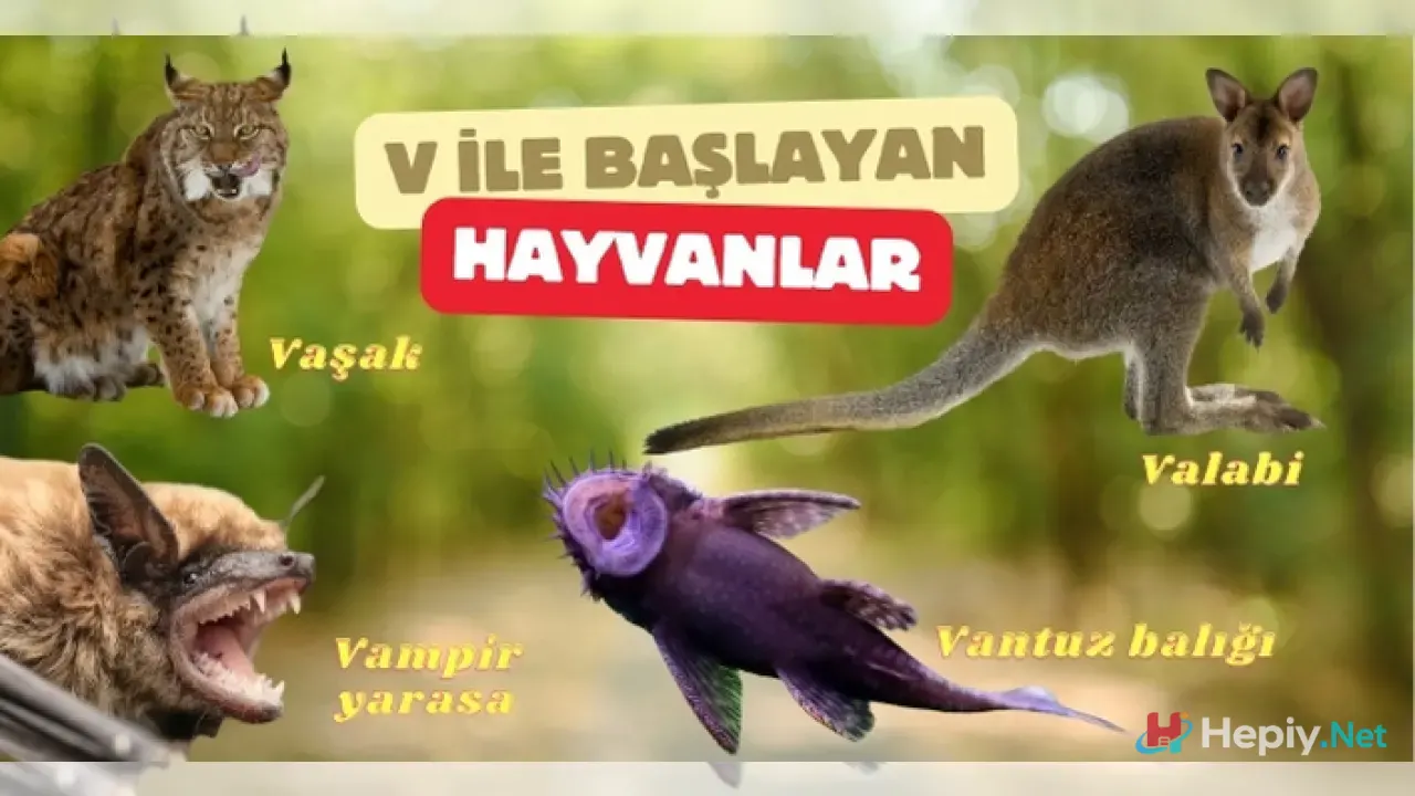 V Harfi İle Başlayan Hayvan İsimleri, V İle Başlayan Hayvan Türleri, Küresel Biyolojik Çeşitlilik ve Ekolojik Analiz