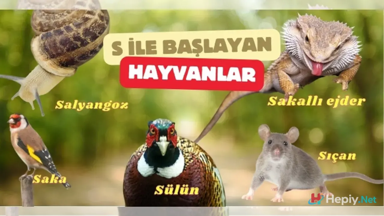S Harfi İle Başlayan Hayvan İsimleri, S İle Başlayan Hayvan Türleri, Küresel Biyolojik Çeşitlilik ve Ekolojik Analiz
