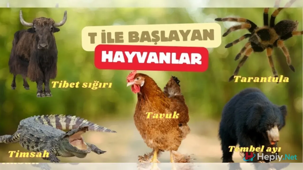 T Harfi İle Başlayan Hayvan İsimleri, T İle Başlayan Hayvan Türleri, Küresel Biyolojik Çeşitlilik ve Ekolojik Analiz