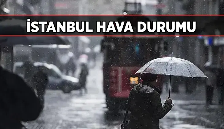 68fdbbd0b825a93f9900b59b
