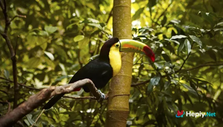 Screenshot 21