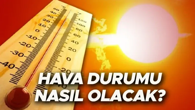 69a5d46b2f018e8a84c81eef