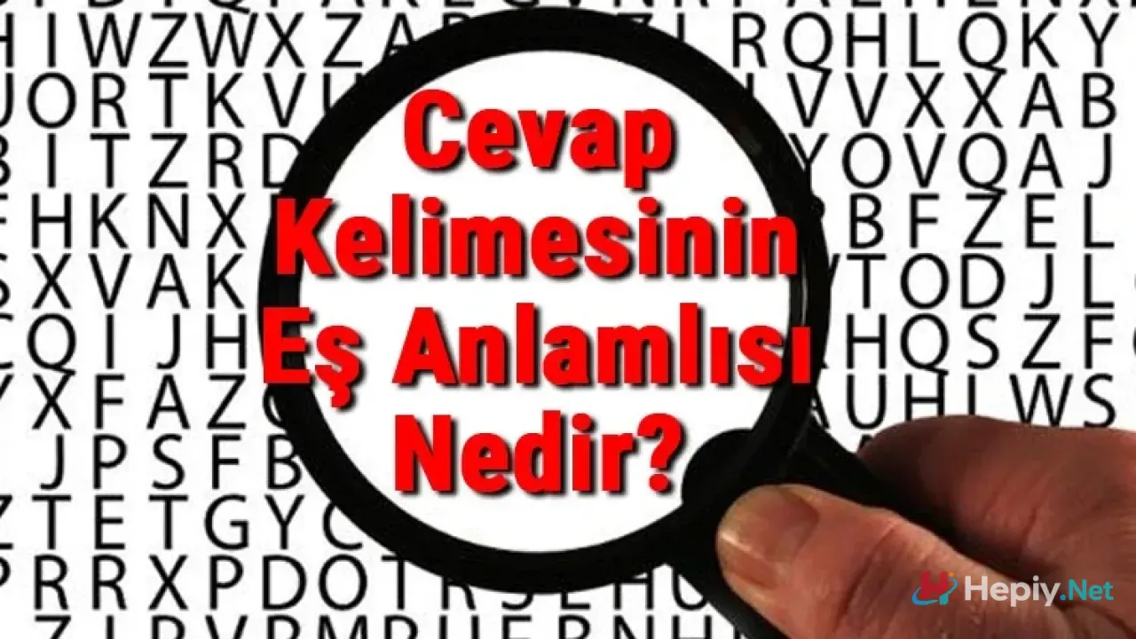 Cevap Eş Anlamlısı ve Zıt Anlamlısı Nedir?
