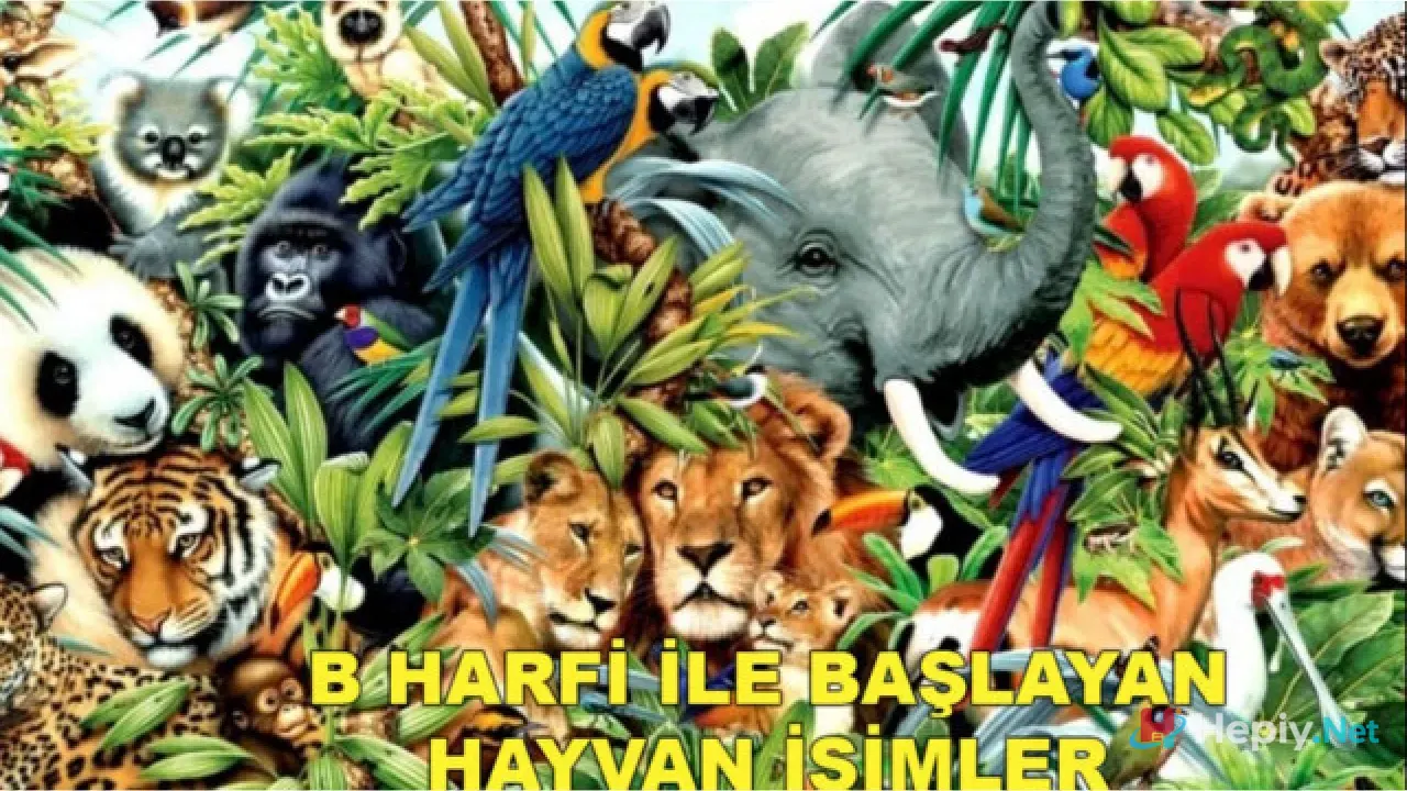 B Harfi İle Başlayan Hayvan İsimleri, B İle Başlayan Hayvan Türleri ve Biyolojik Çeşitlilik