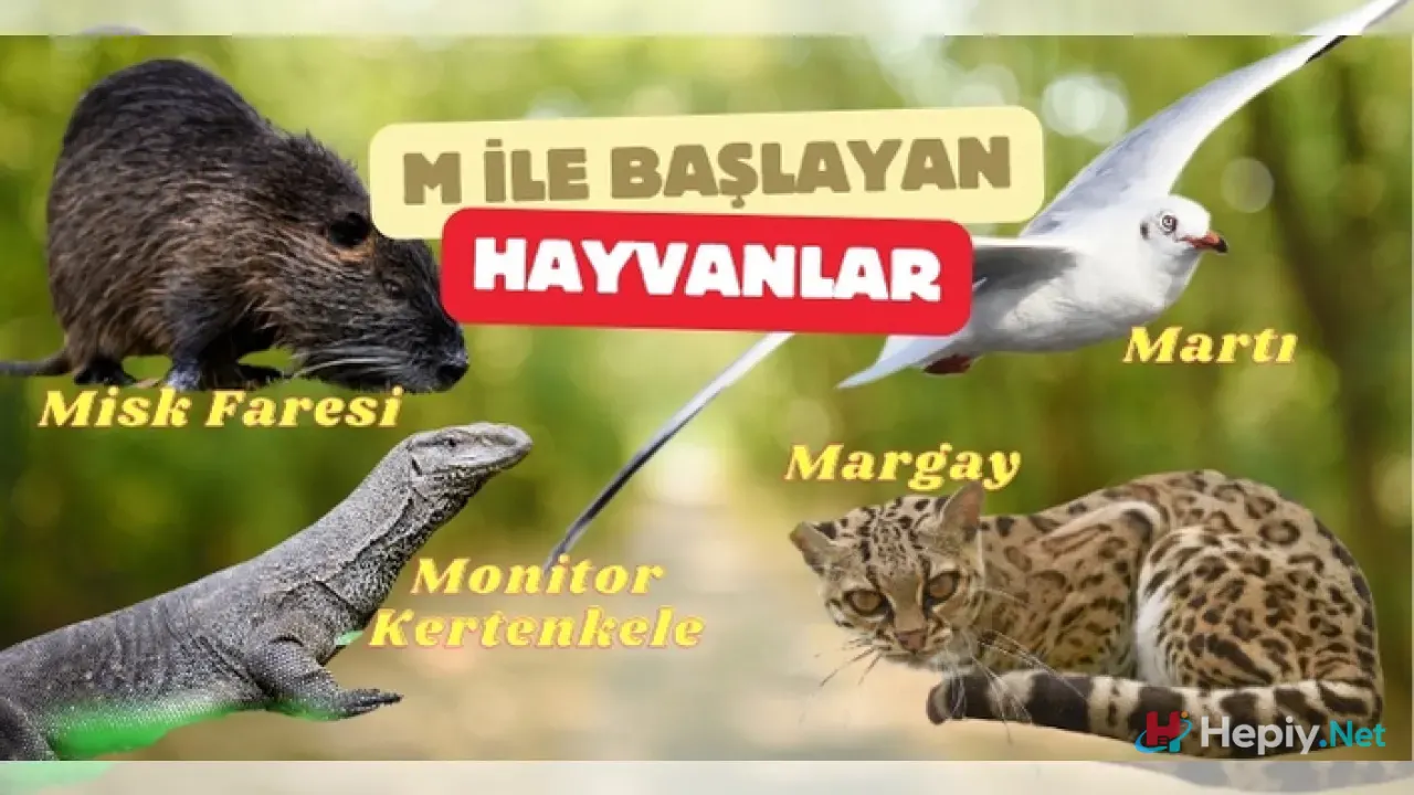 M Harfi İle Başlayan Hayvan İsimleri, M İle Başlayan Hayvan Türleri, Küresel Biyolojik Çeşitlilik ve Zoolojik Taksonomi