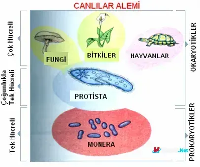 sistematik