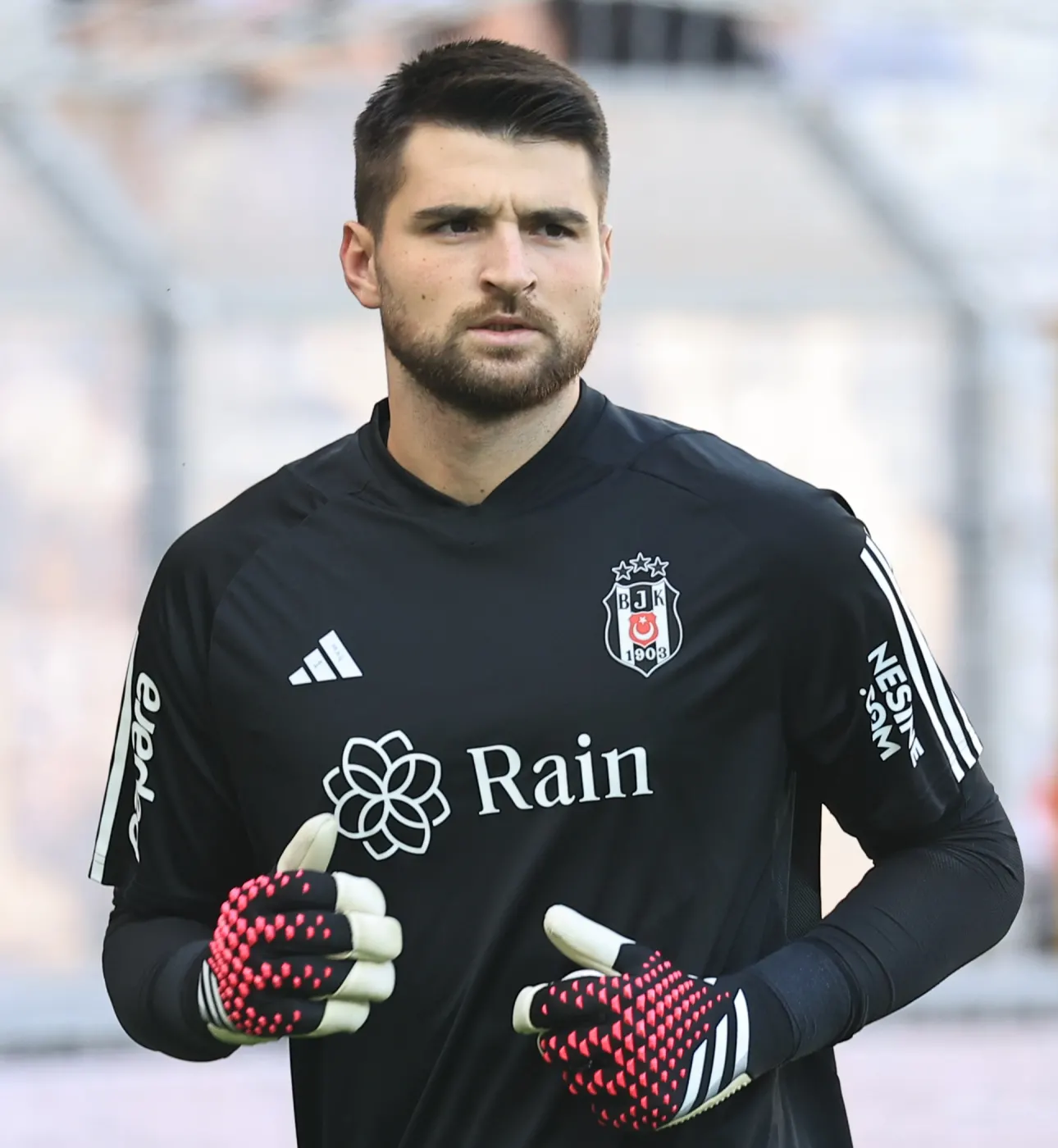 Ersin Destanoğlu 20231008 1 (cropped)