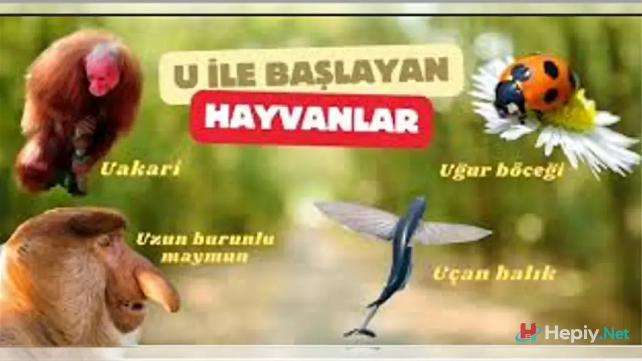 U Harfi İle Başlayan Hayvan İsimleri, Küresel Fauna ve Zoolojik Çeşitlilik