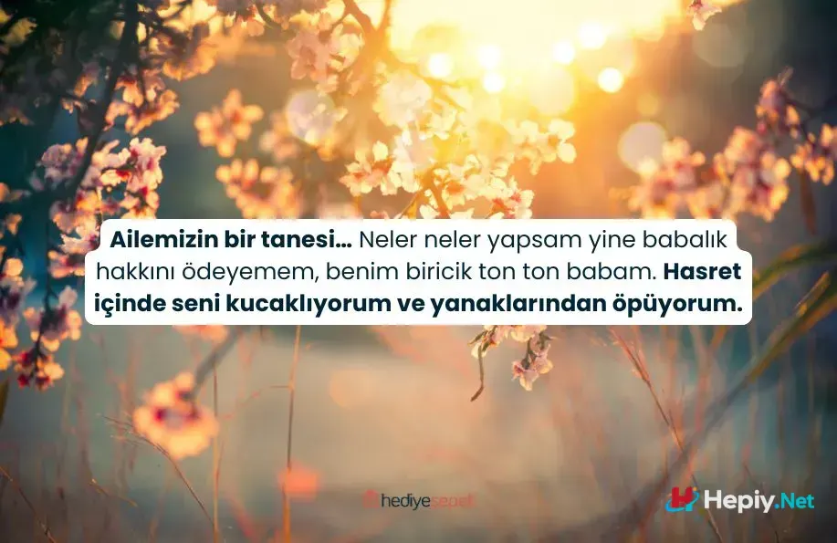 babalar gunu mesajlari 4