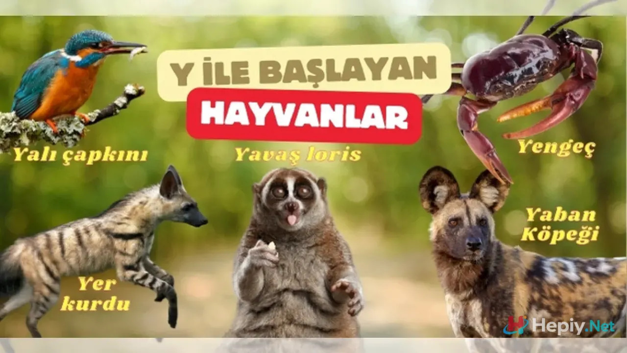 Y Harfi İle Başlayan Hayvan İsimleri, Y İle Başlayan Hayvan Türleri, Küresel Biyolojik Çeşitlilik ve Taksonomik Analiz