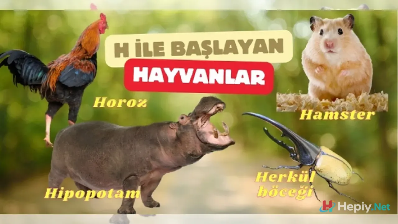 H Harfi İle Başlayan Hayvan İsimleri, H İle Başlayan Hayvan Türleri, Küresel Biyolojik Çeşitlilik ve Zoolojik