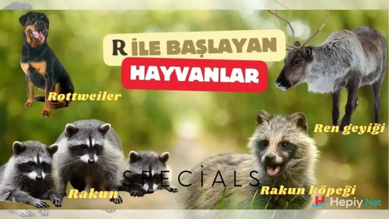 R Harfi İle Başlayan Hayvan İsimleri, R İle Başlayan Hayvan Türleri, Küresel Biyolojik Çeşitlilik ve Ekolojik Analiz