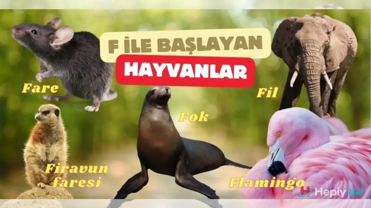 F Harfi İle Başlayan Hayvan İsimleri, F İle Başlayan Hayvan Türleri, Ekolojik Önemleri ve Küresel Biyolojik Çeşitlilik