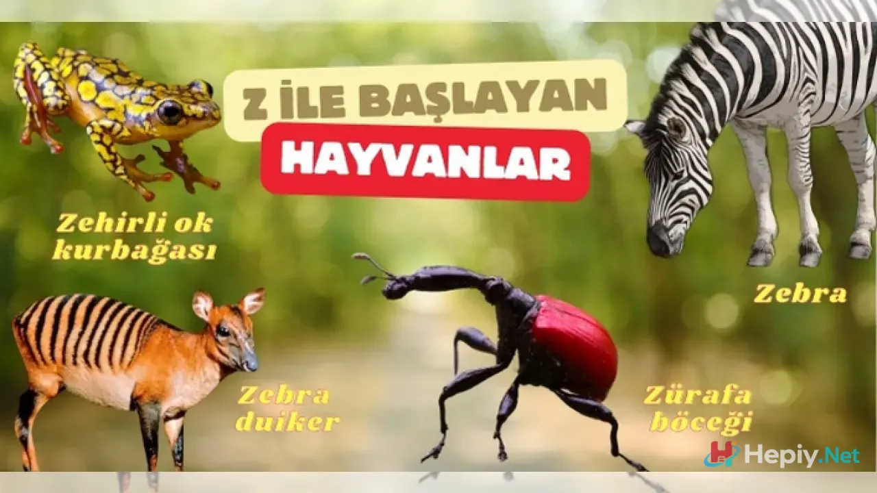 Z Harfi İle Başlayan Hayvan İsimleri, Z İle Başlayan Hayvan Türleri, Küresel Biyolojik Çeşitlilik ve Taksonomik Analiz